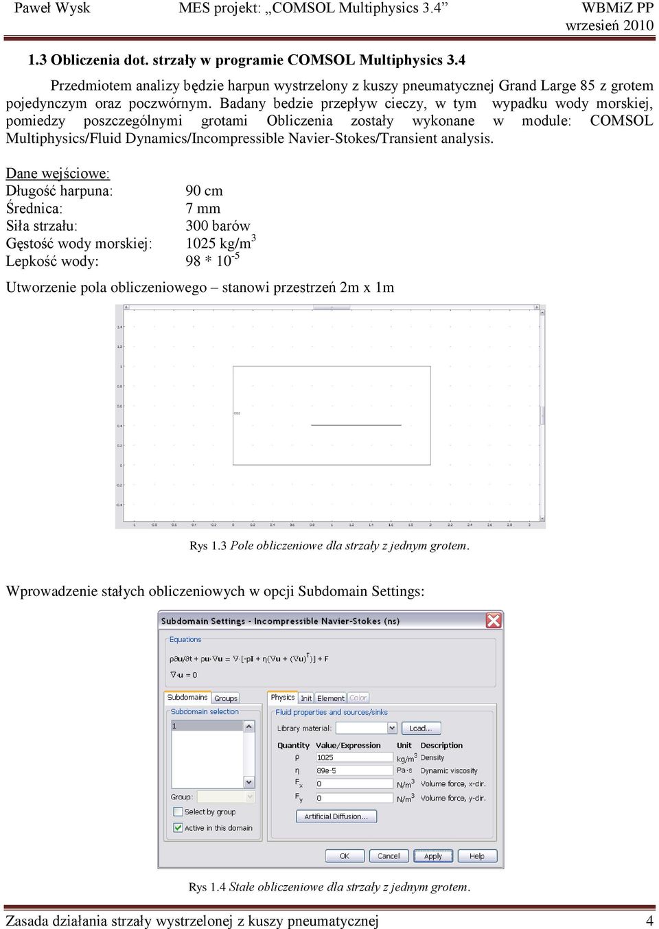 Navier-Stokes/Transient analysis.