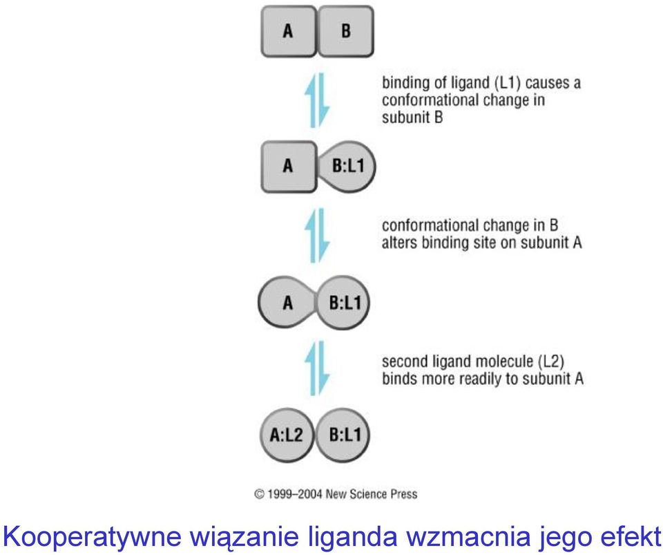 liganda