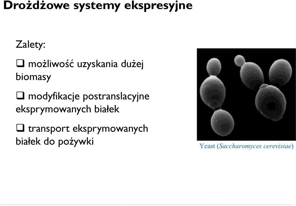 modyfikacje postranslacyjne