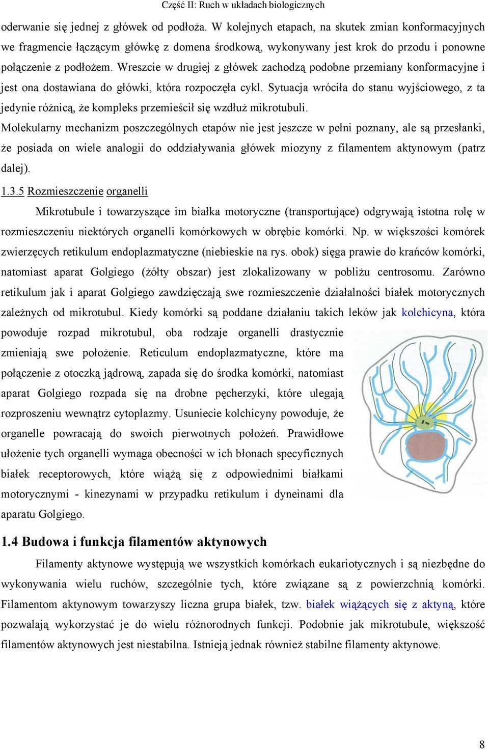 Wreszcie w drugiej z główek zachodzą podobne przemiany konformacyjne i jest ona dostawiana do główki, która rozpoczęła cykl.