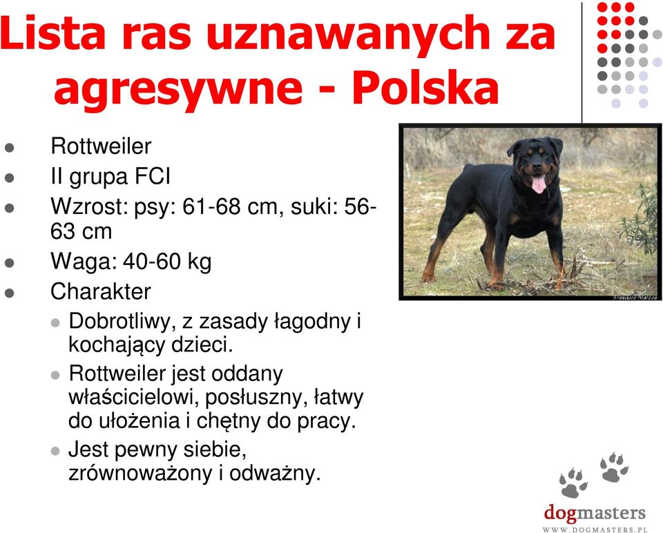 łagodny i kochający dzieci.