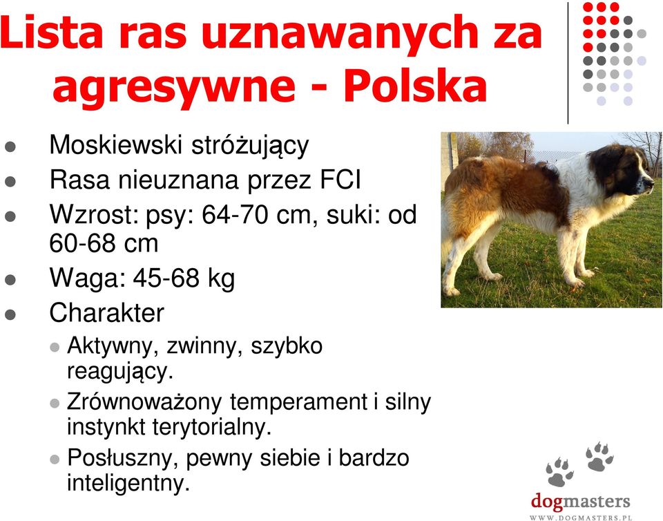 kg Charakter Aktywny, zwinny, szybko reagujący.