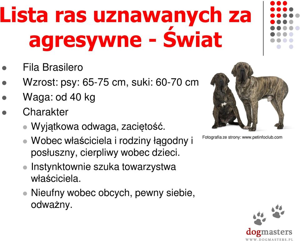 Wobec właściciela i rodziny łągodny i posłuszny, cierpliwy wobec dzieci.