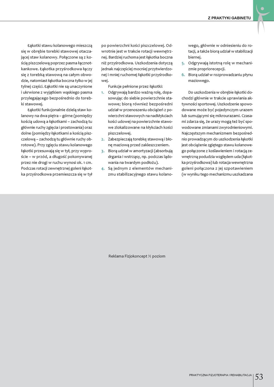 Łąkotki nie są unaczynione i ukrwione z wyjątkiem wąskiego pasma przylegającego bezpośrednio do torebki stawowej.