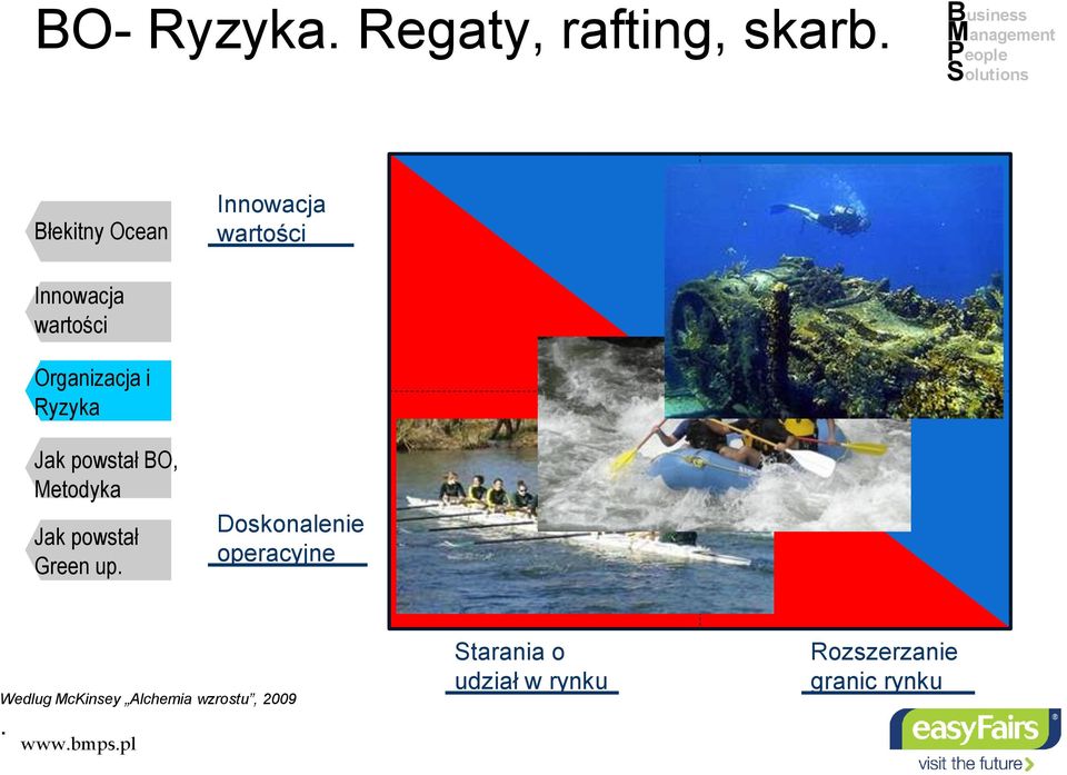 McKinsey Alchemia wzrostu, 2009.