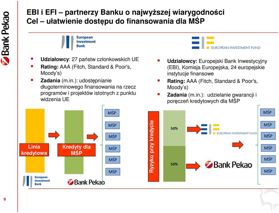 ): udostępnianie długoterminowego finansowania na rzecz programów i projektów istotnych z punktu widzenia UE Udziałowcy: Europejski Bank