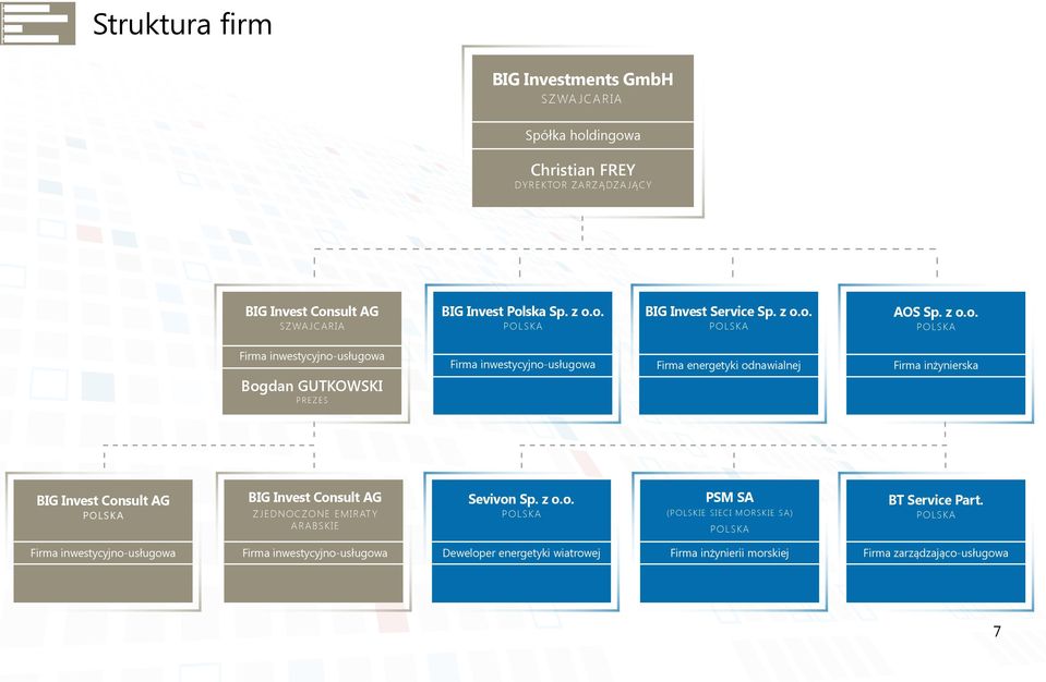 Invest Consult AG POLska BIG Invest Consult AG zjednoczone emiraty arabskie Sevivon Sp. z o.o. Polska PSM SA (polskie sieci morskie SA) Polska BT Service Part.