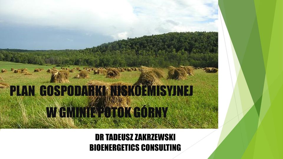 POTOK GÓRNY DR TADEUSZ