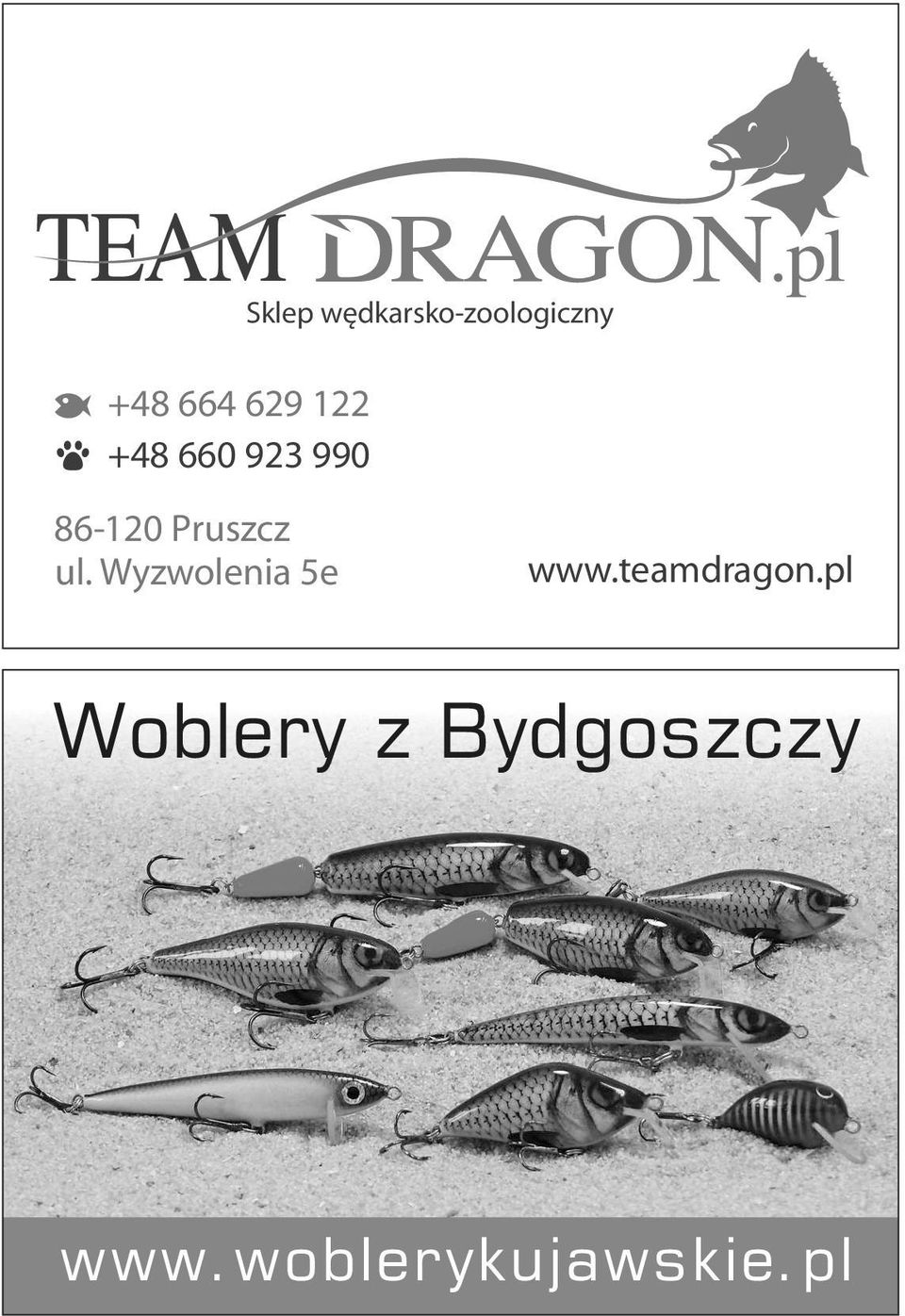 ul. Wyzwolenia 5e www.teamdragon.