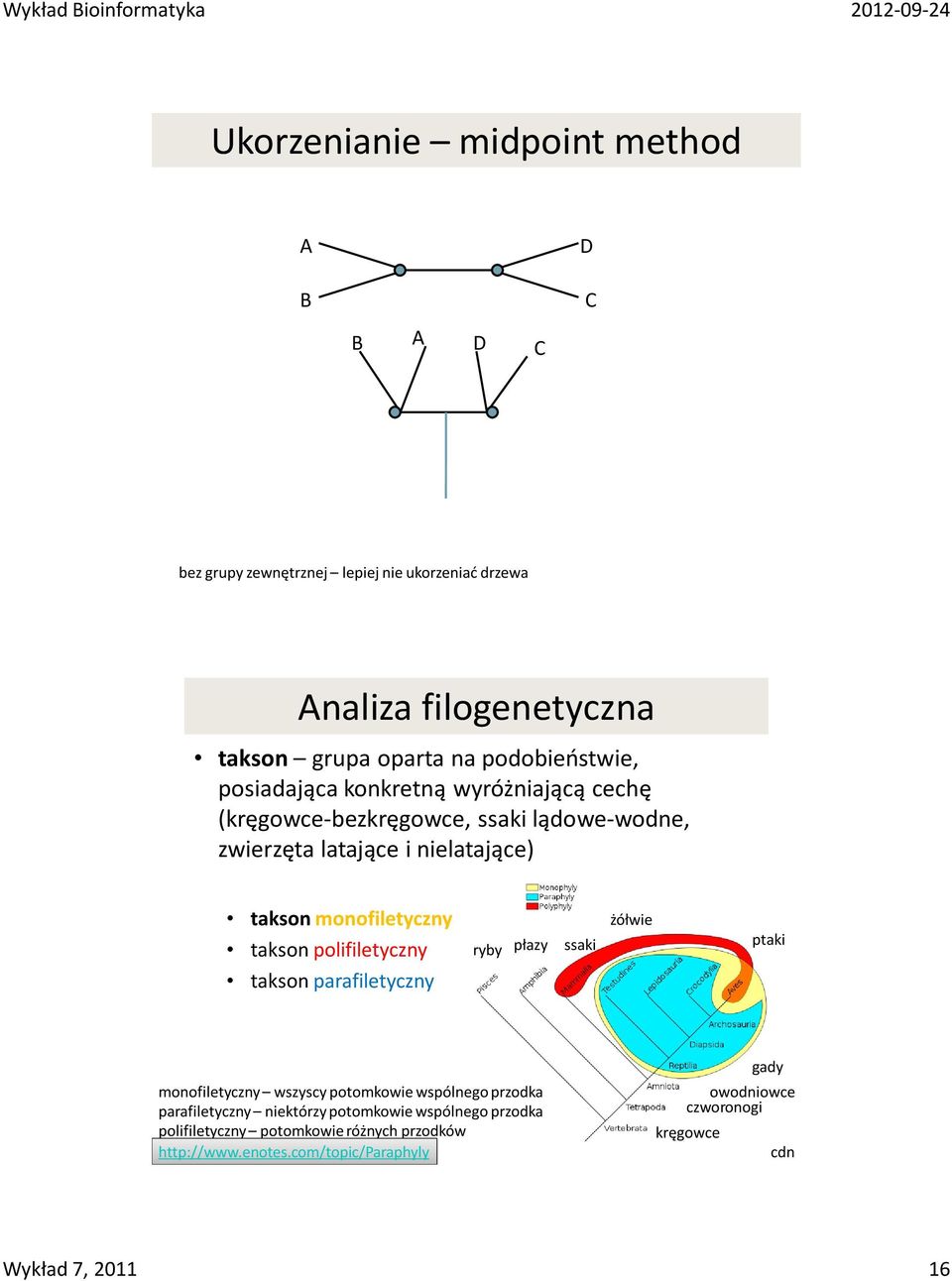 monofiletyczny takson polifiletyczny takson parafiletyczny ryby płazy ssaki żółwie ptaki monofiletyczny wszyscy potomkowie wspólnego przodka