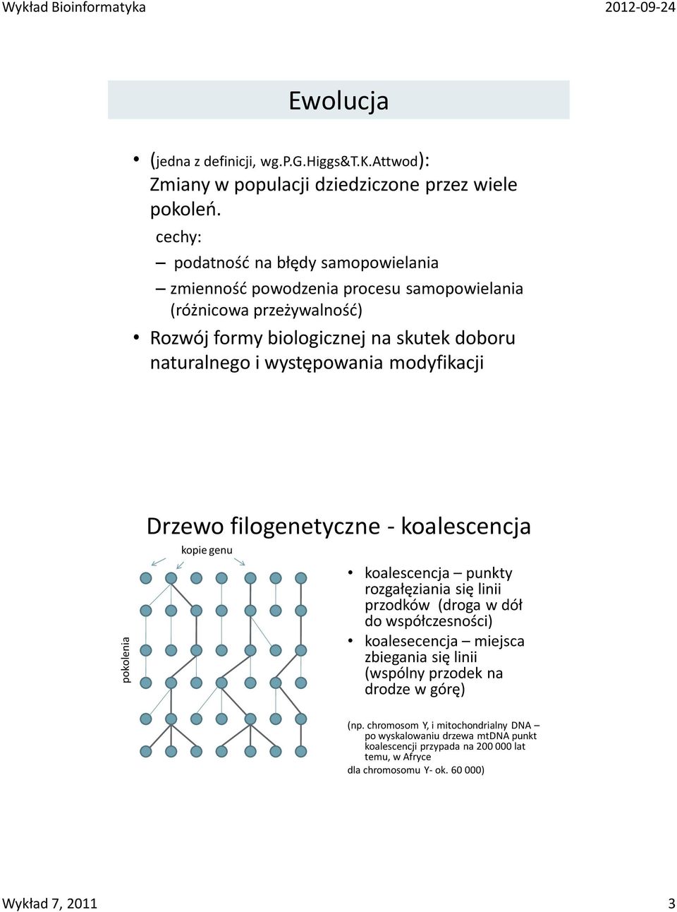 modyfikacji Drzewo filogenetyczne - koalescencja kopie genu koalescencja punkty rozgałęziania się linii przodków (droga w dół do współczesności) koalesecencja miejsca zbiegania się