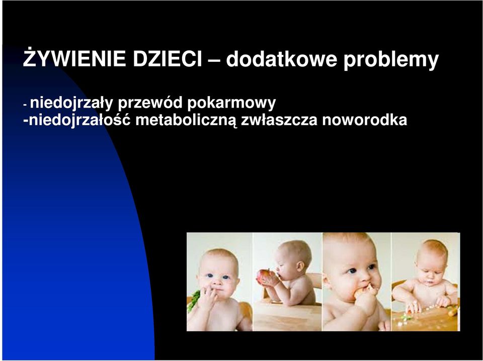 przewód pokarmowy