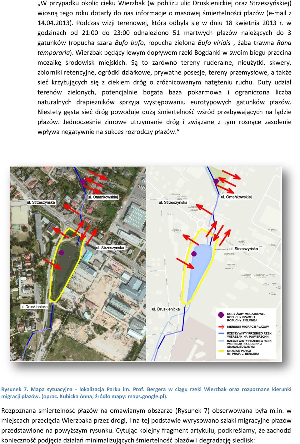 w godzinach od 21:00 do 23:00 odnaleziono 51 martwych płazów należących do 3 gatunków (ropucha szara Bufo bufo, ropucha zielona Bufo viridis, żaba trawna Rana temporaria).