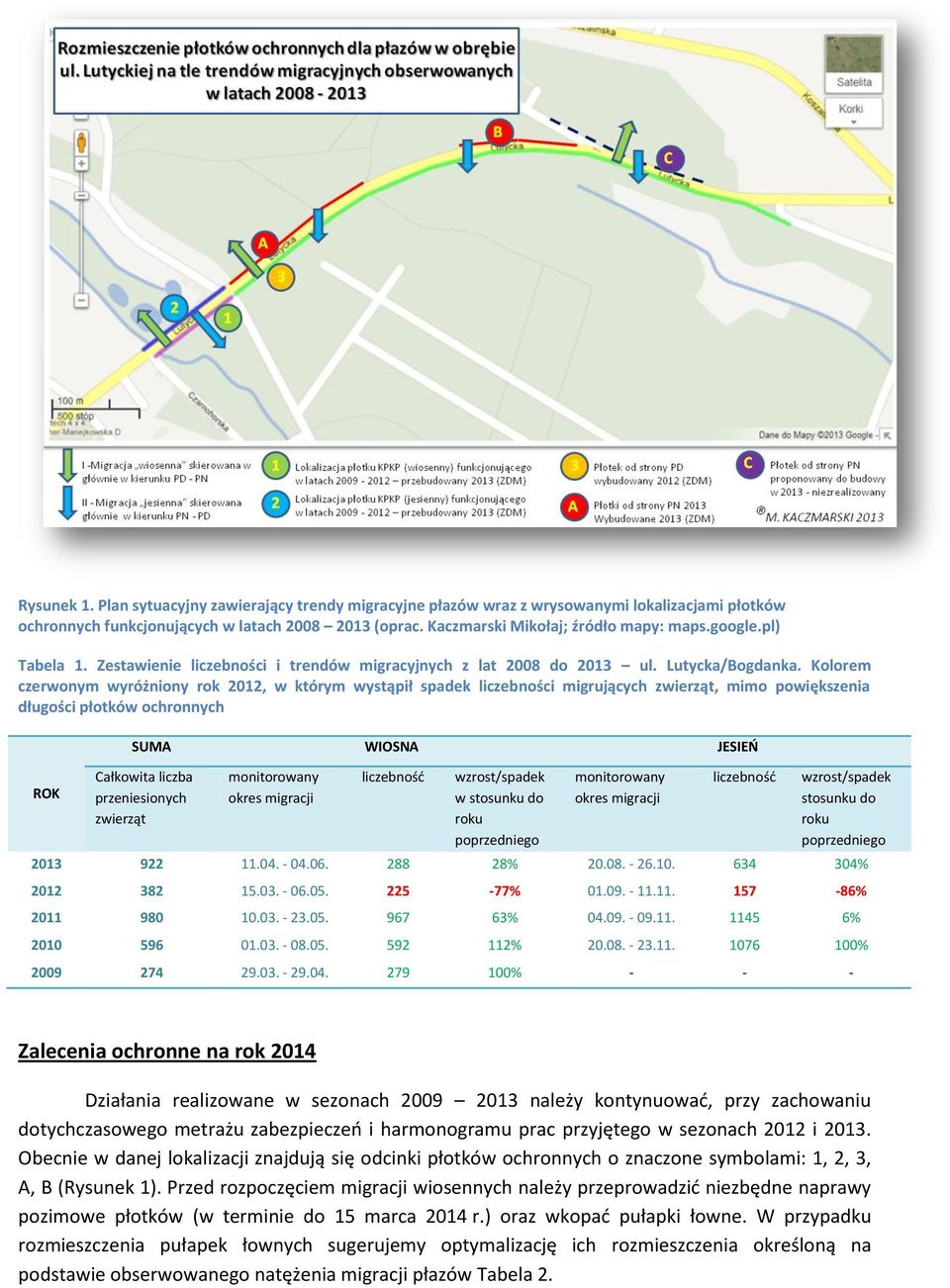 Kolorem czerwonym wyróżniony rok 2012, w którym wystąpił spadek liczebności migrujących zwierząt, mimo powiększenia długości płotków ochronnych ROK SUMA WIOSNA JESIEŃ Całkowita liczba przeniesionych