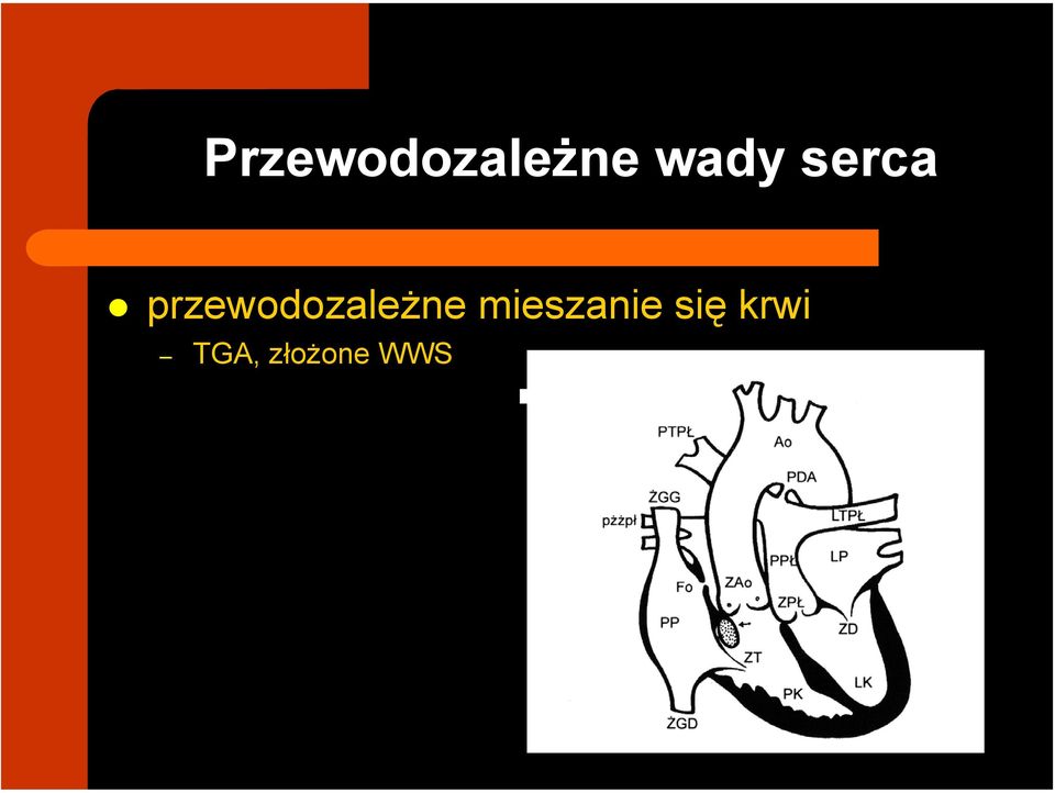 przewodozależne