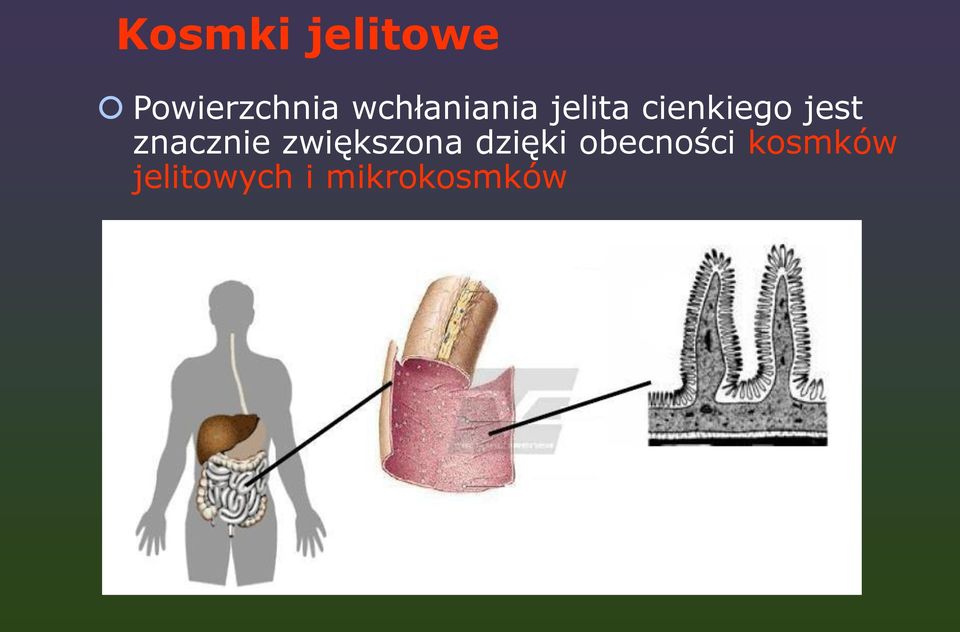 znacznie zwiększona dzięki