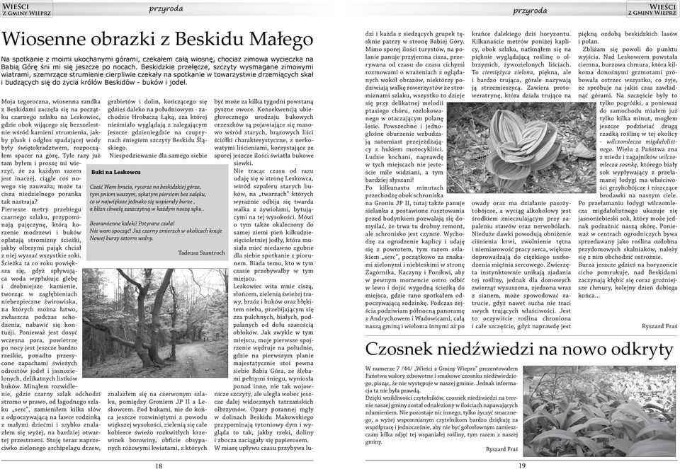 Niedźwiedź taniec prędkości randki
