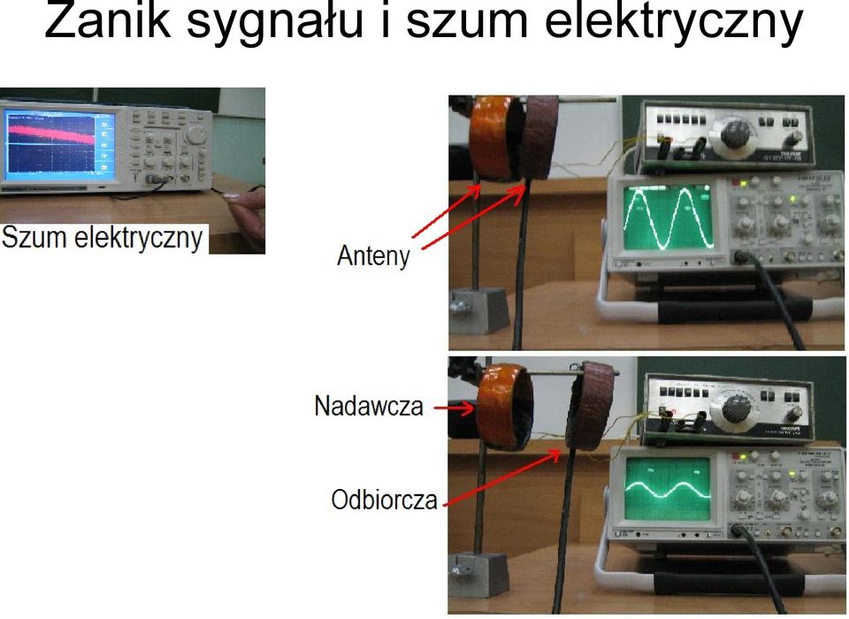 szum