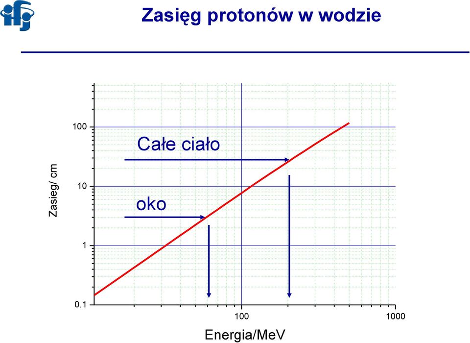 cm Całe ciało 10 oko