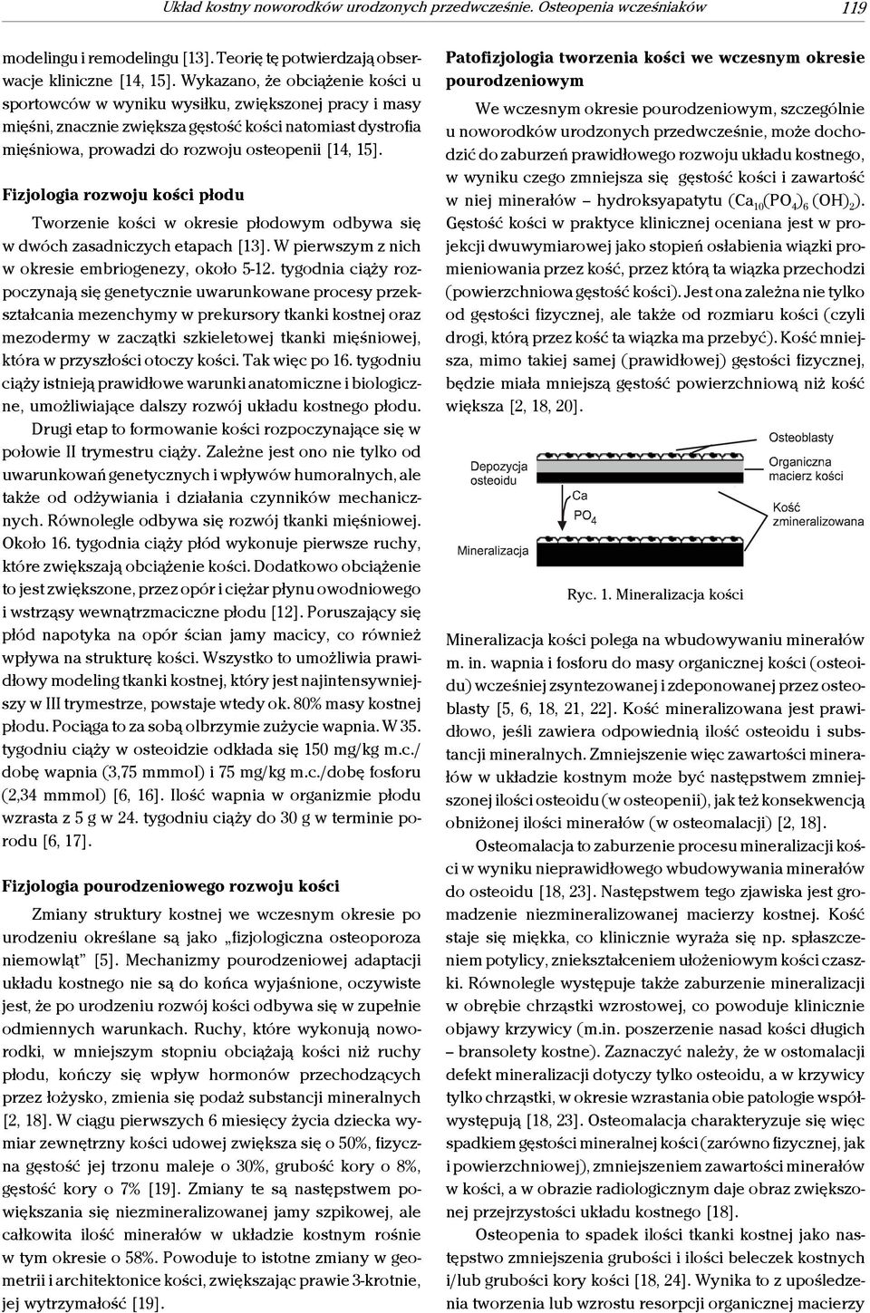 Fizjologia rozwoju kości płodu Tworzenie kości w okresie płodowym odbywa się w dwóch zasadniczych etapach [13]. W pierwszym z nich w okresie embriogenezy, około 5-12.