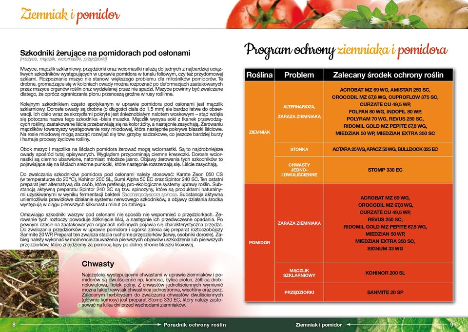 Te drobne, gromadzące się w koloniach owady można rozpoznać po deformacjach zaatakowanych przez mszyce organów roślin oraz wydzielanej przez nie spadzi.