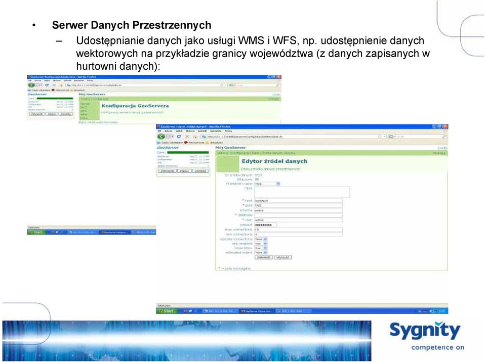 udostępnienie danych wektorowych na