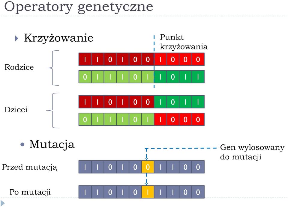 1 1 0 1 1 0 1 1 1 0 0 0 Mutacja Przed mutacją 1 1 0 1 0 0 1