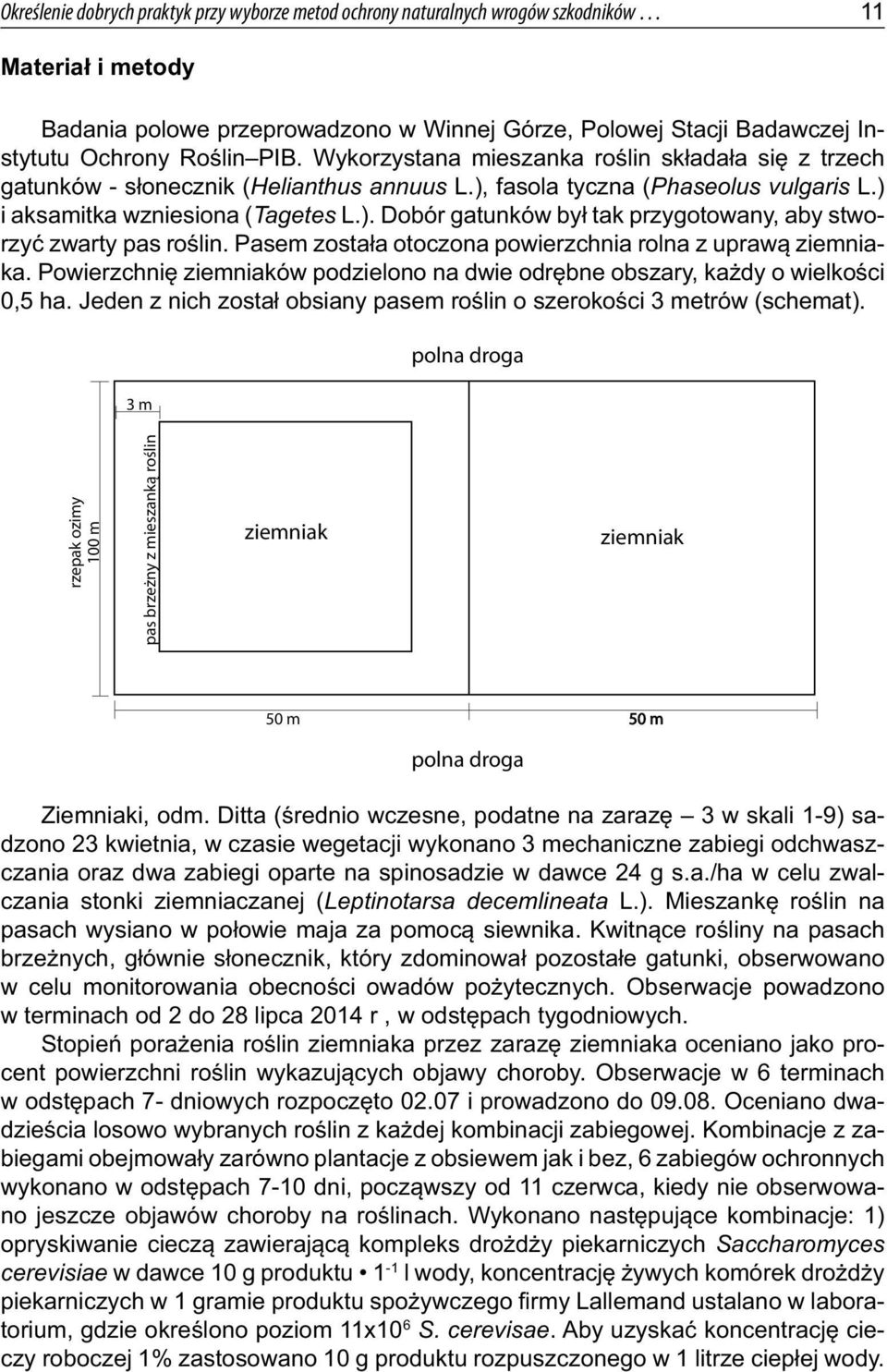 Pasem została otoczona powierzchnia rolna z uprawą ziemniaka. Powierzchnię ziemniaków podzielono na dwie odrębne obszary, każdy o wielkości 0,5 ha.