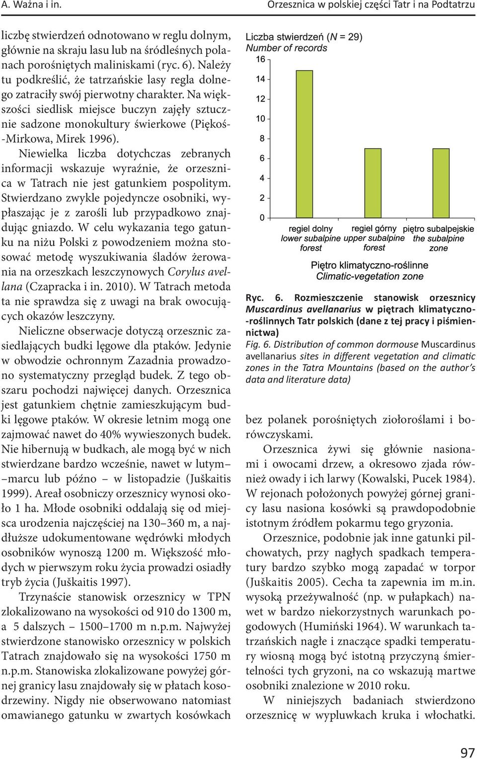 Na większości siedlisk miejsce buczyn zajęły sztucznie sadzone monokultury świerkowe (Piękoś- -Mirkowa, Mirek 1996).