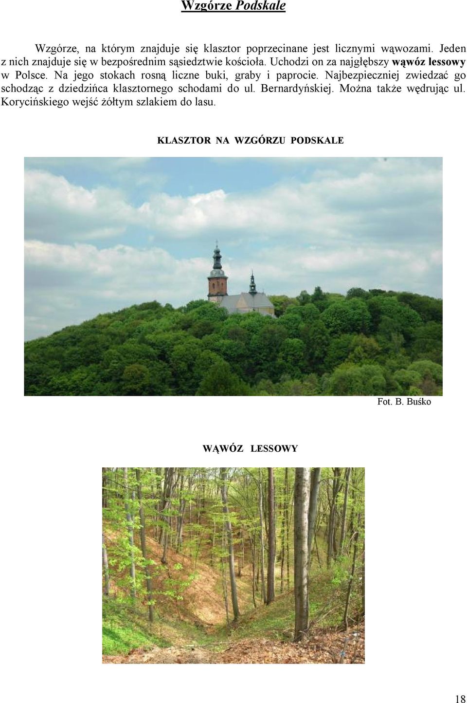 Na jego stokach rosną liczne buki, graby i paprocie.