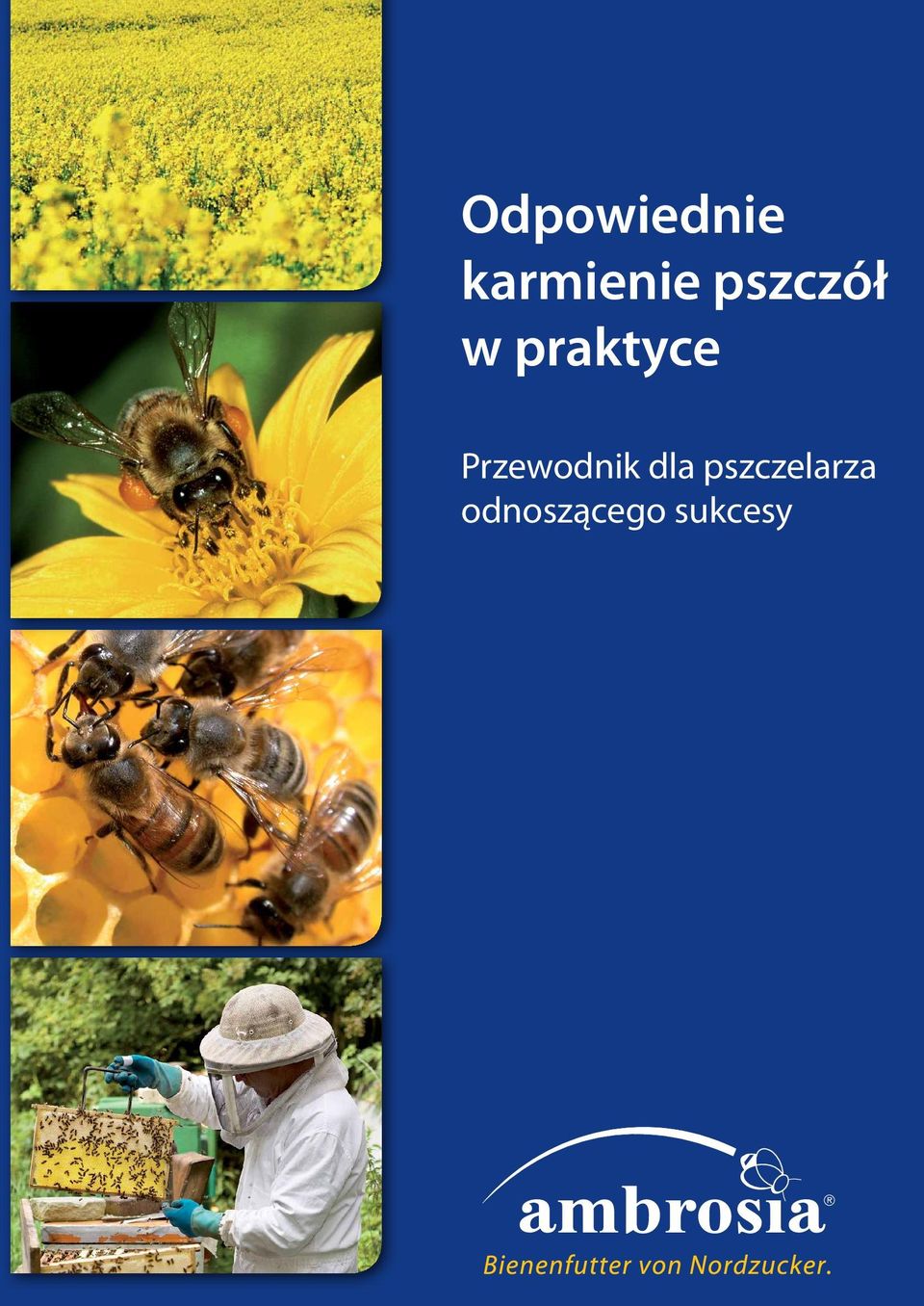 Przewodnik dla