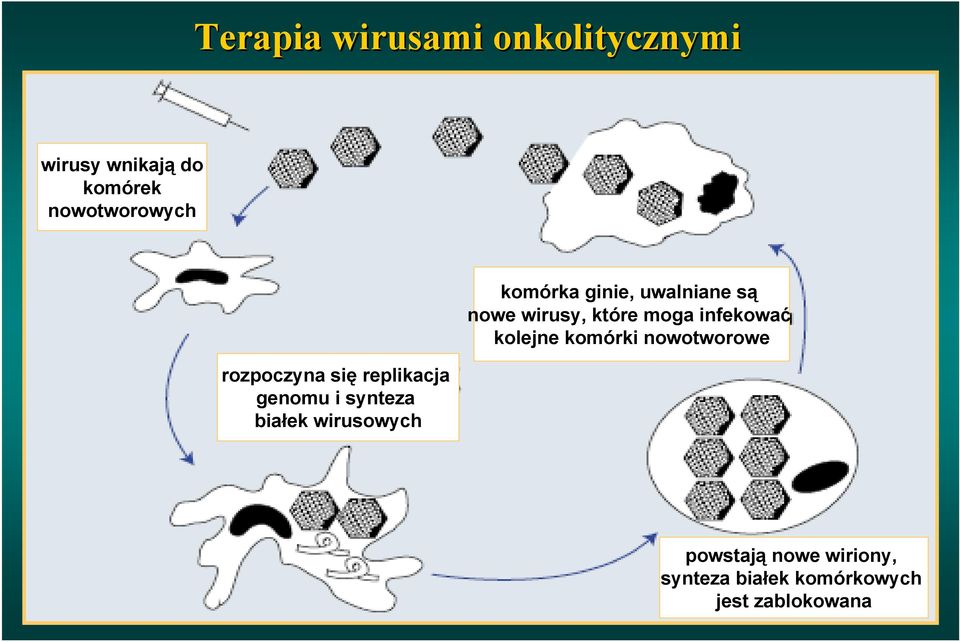 ginie, uwalniane są nowe wirusy, które moga infekować kolejne komórki