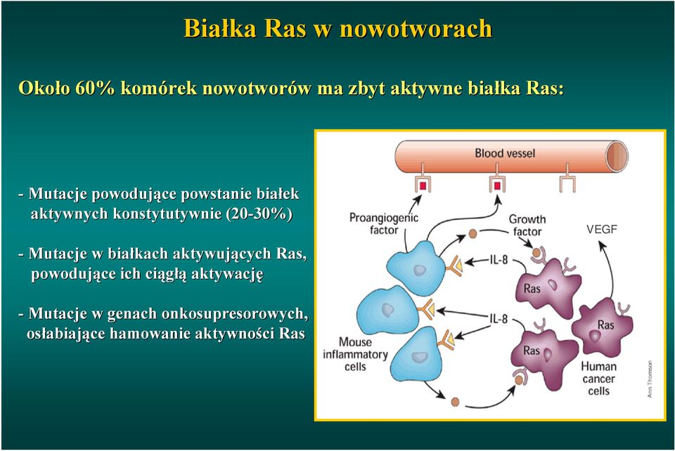 (20-30%) - Mutacje w białkach aktywujących Ras, powodujące ich ciągłą