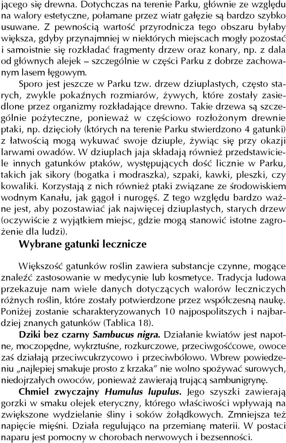 z dala od głównych alejek szczególnie w części Parku z dobrze zachowanym lasem łęgowym. Sporo jest jeszcze w Parku tzw.