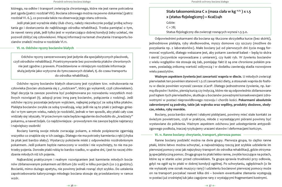 Trzeba pamiętać o tym, że nawet ranny ptak, jeśli tylko jest w wystarczająco dobrej kondycji żeby uciekać, nie pozwoli zbliżyć się człowiekowi.