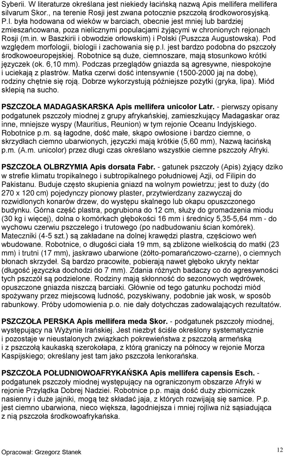 Robotnice są duże, ciemnoszare, mają stosunkowo krótki języczek (ok. 6,10 mm). Podczas przeglądów gniazda są agresywne, niespokojne i uciekają z plastrów.