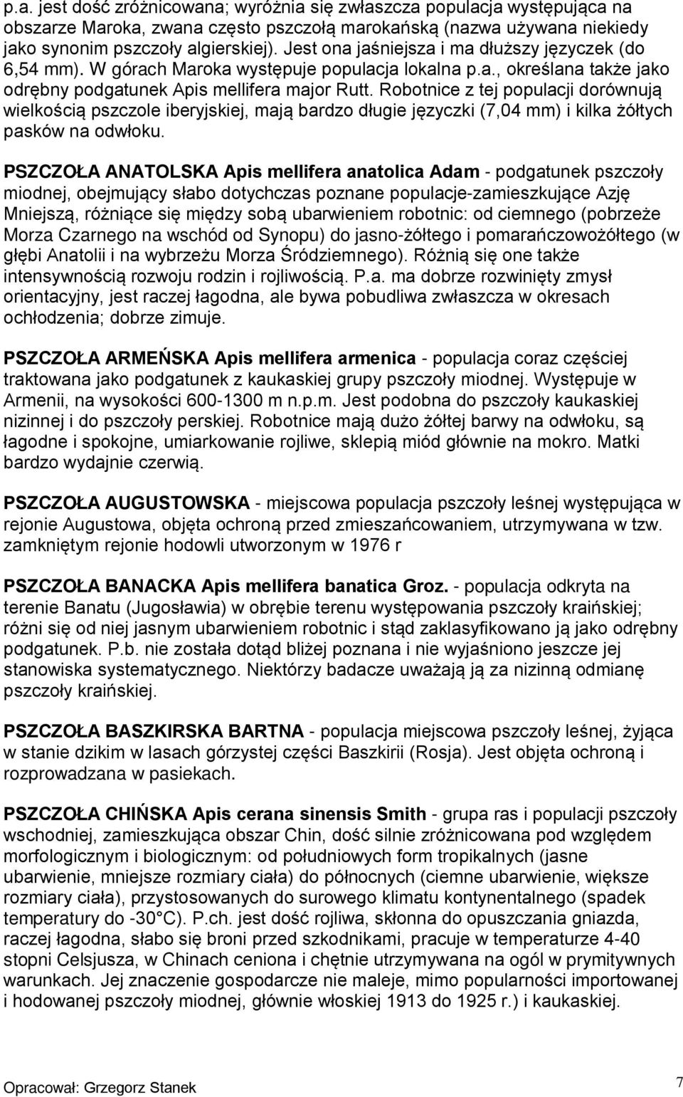 Robotnice z tej populacji dorównują wielkością pszczole iberyjskiej, mają bardzo długie języczki (7,04 mm) i kilka żółtych pasków na odwłoku.