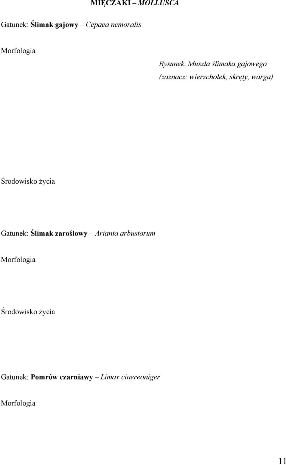 Muszla ślimaka gajowego (zaznacz: wierzchołek, skręty, warga)