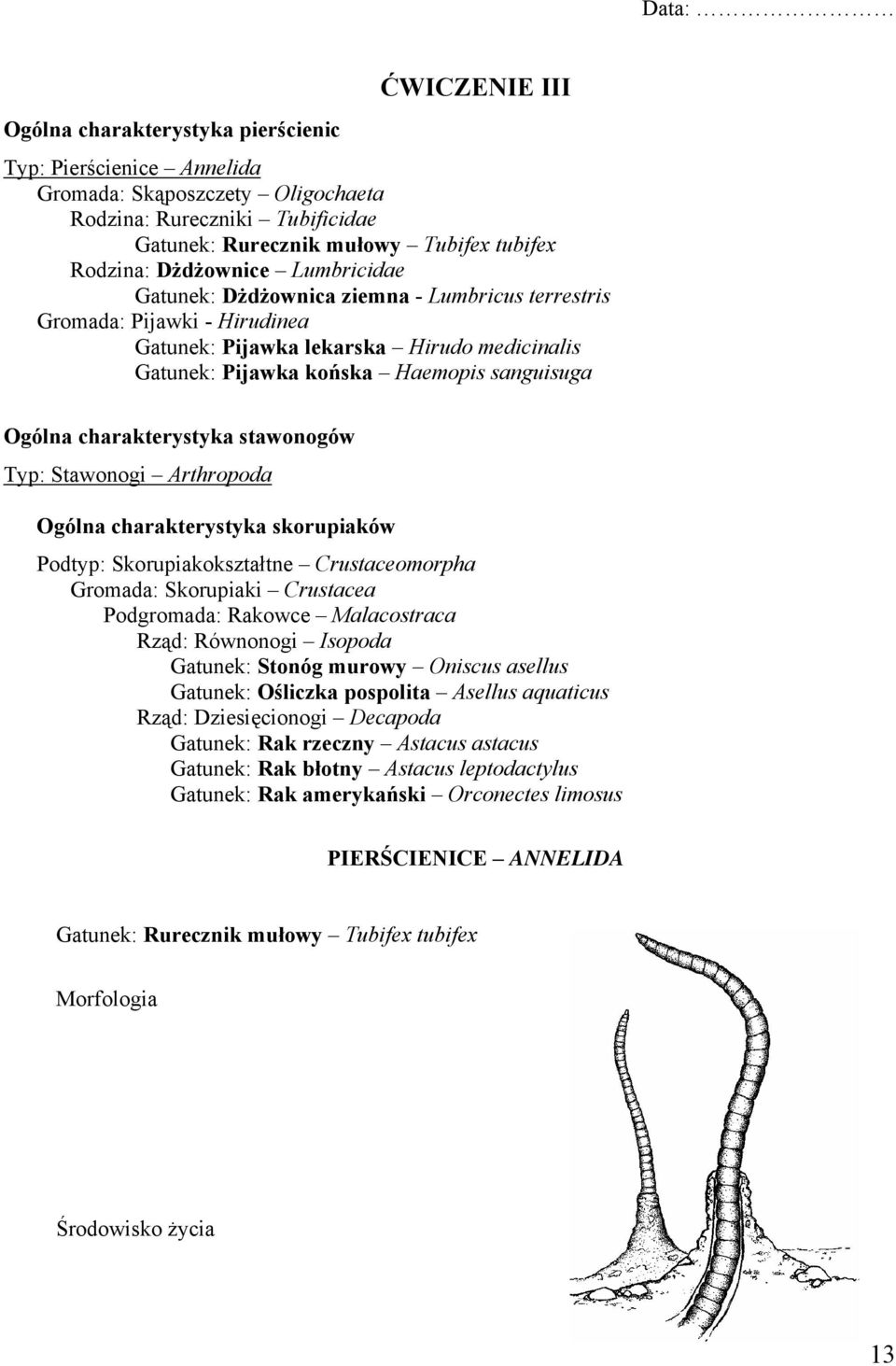 charakterystyka stawonogów Typ: Stawonogi Arthropoda Ogólna charakterystyka skorupiaków Podtyp: Skorupiakokształtne Crustaceomorpha Gromada: Skorupiaki Crustacea Podgromada: Rakowce Malacostraca