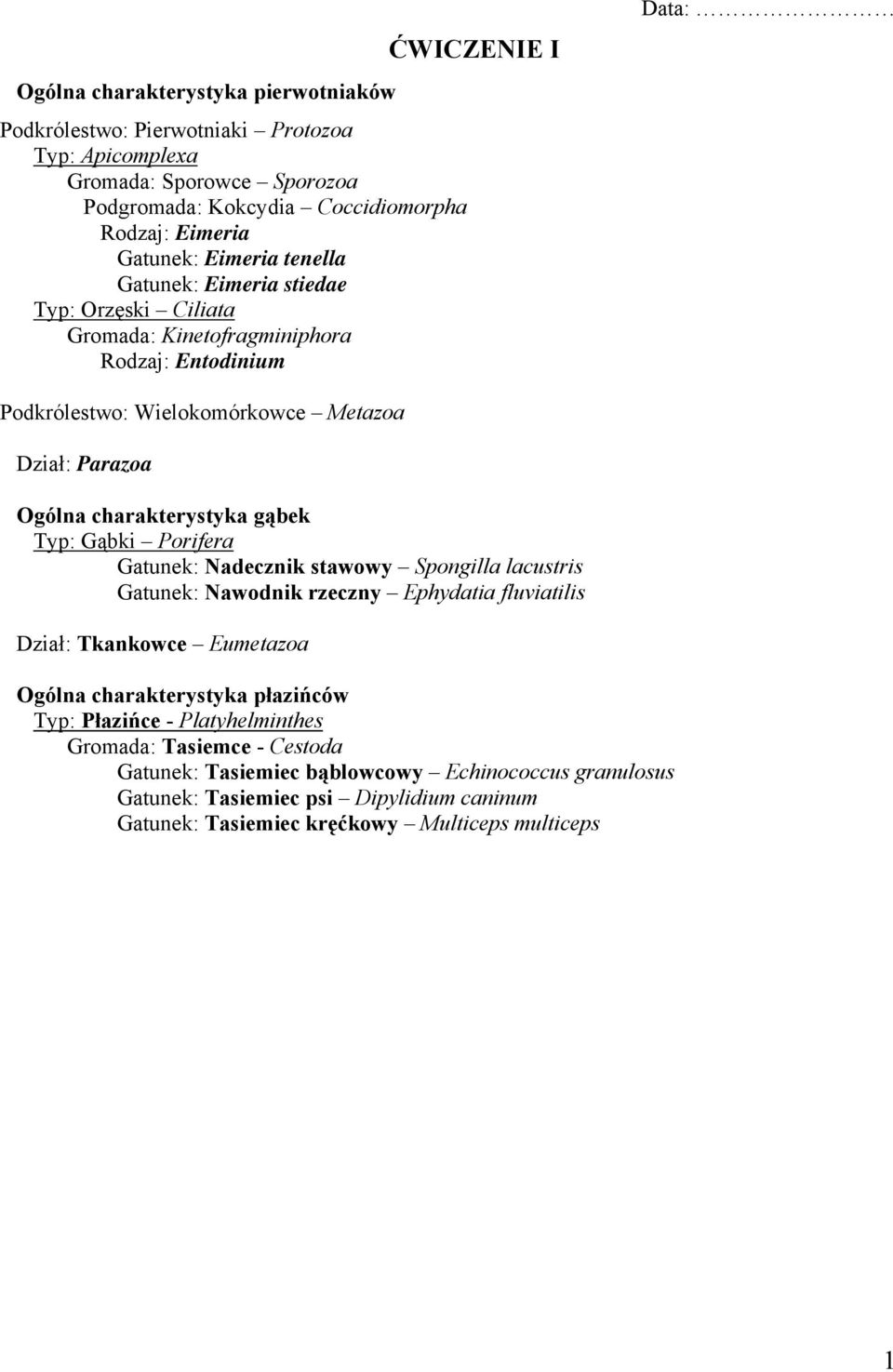 charakterystyka gąbek Typ: Gąbki Porifera Gatunek: Nadecznik stawowy Spongilla lacustris Gatunek: Nawodnik rzeczny Ephydatia fluviatilis Dział: Tkankowce Eumetazoa Ogólna charakterystyka