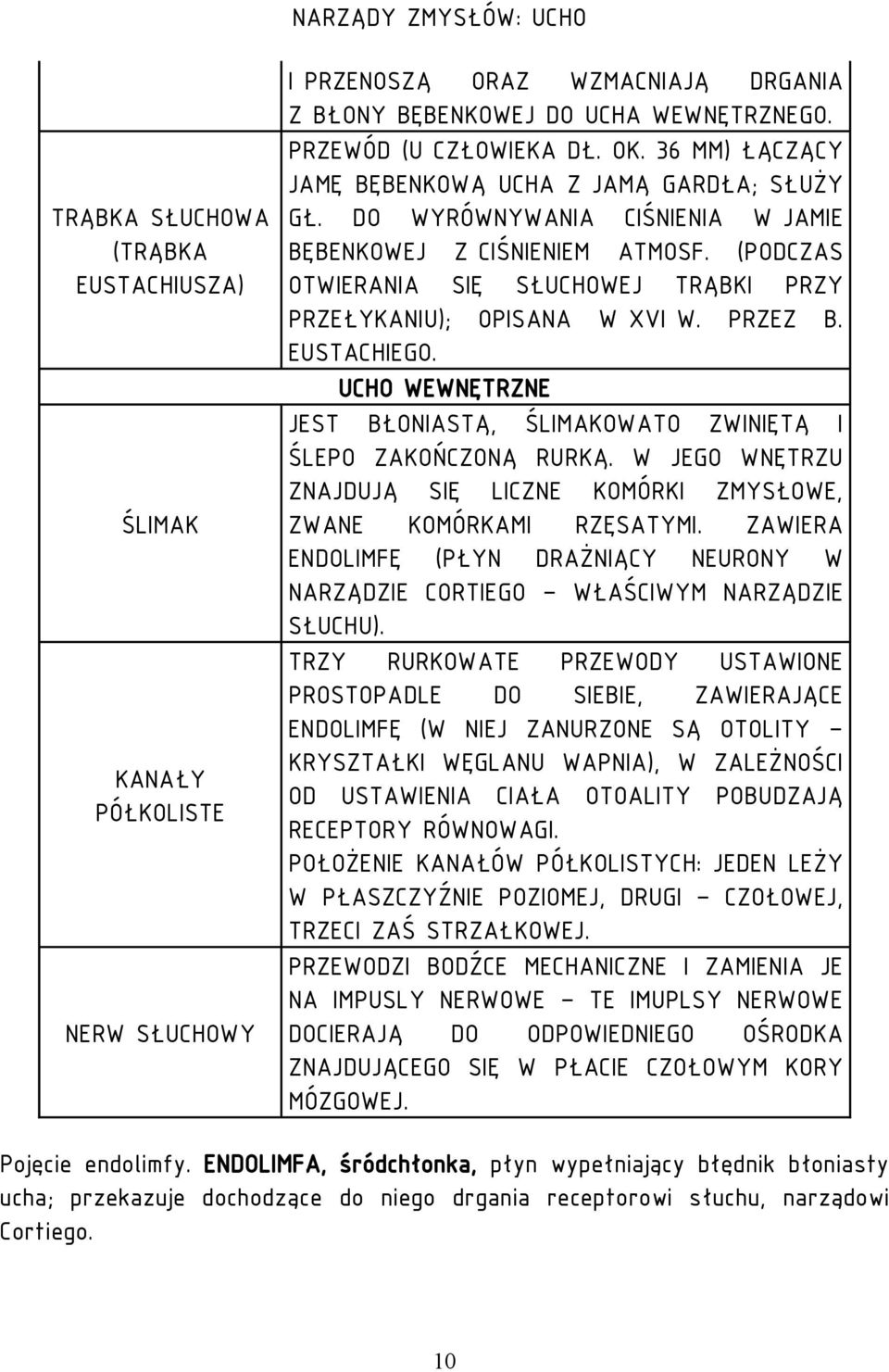 (PODCZAS OTWIERANIA SIĘ SŁUCHOWEJ TRĄBKI PRZY PRZEŁYKANIU); OPISANA W XVI W. PRZEZ B. EUSTACHIEGO. UCHO WEWNĘTRZNE JEST BŁONIASTĄ, ŚLIMAKOWATO ZWINIĘTĄ I ŚLEPO ZAKOŃCZONĄ RURKĄ.