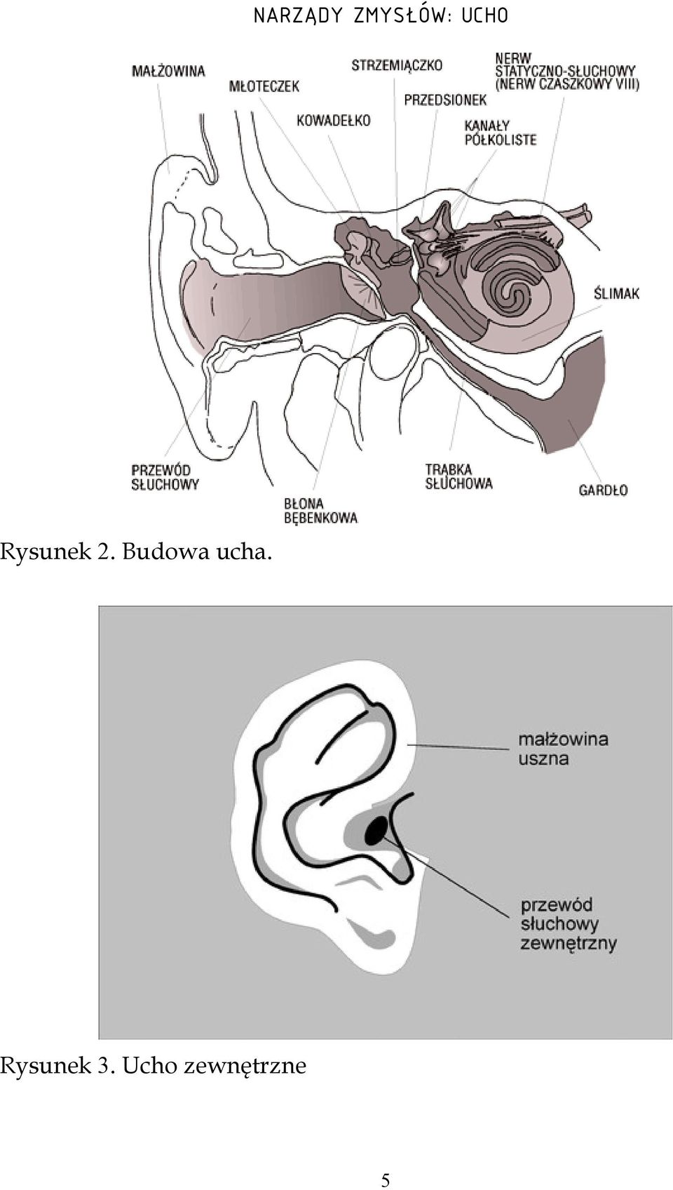 Rysunek 3.