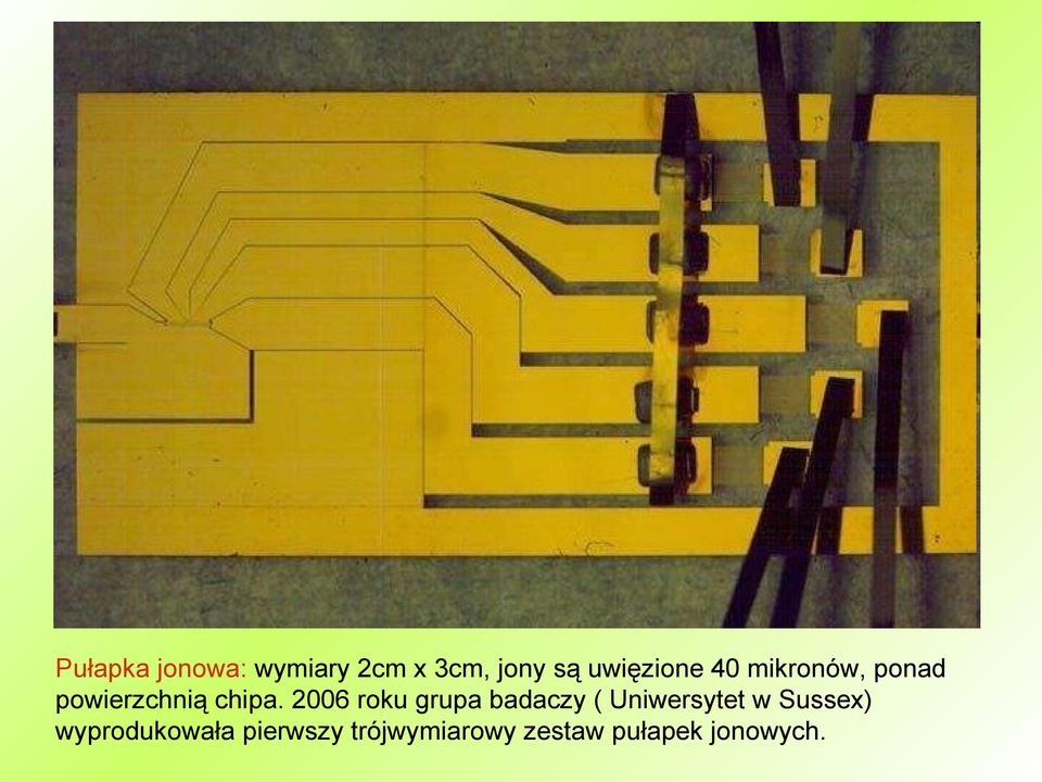 2006 roku grupa badaczy ( Uniwersytet w Sussex)