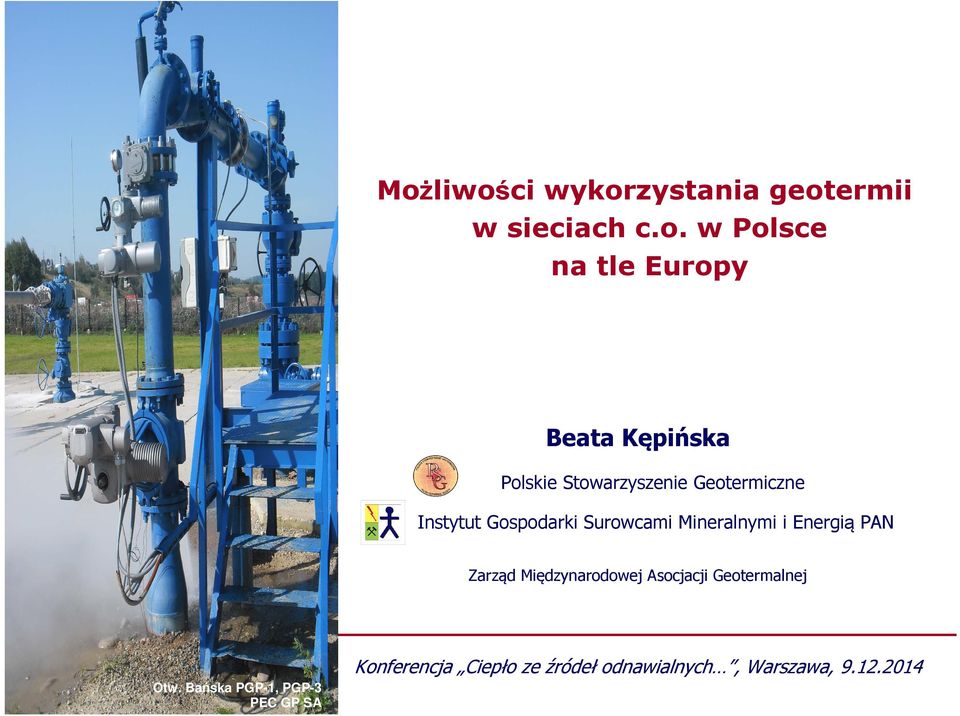 Mineralnymi i Energią PAN Zarząd Międzynarodowej Asocjacji Geotermalnej
