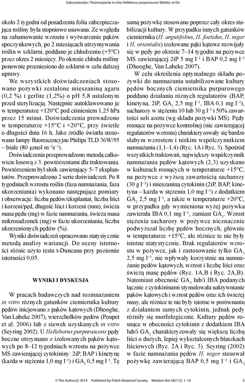 Po okresie chłodu rośliny ponownie przeniesiono do szklarni w celu dalszej uprawy.