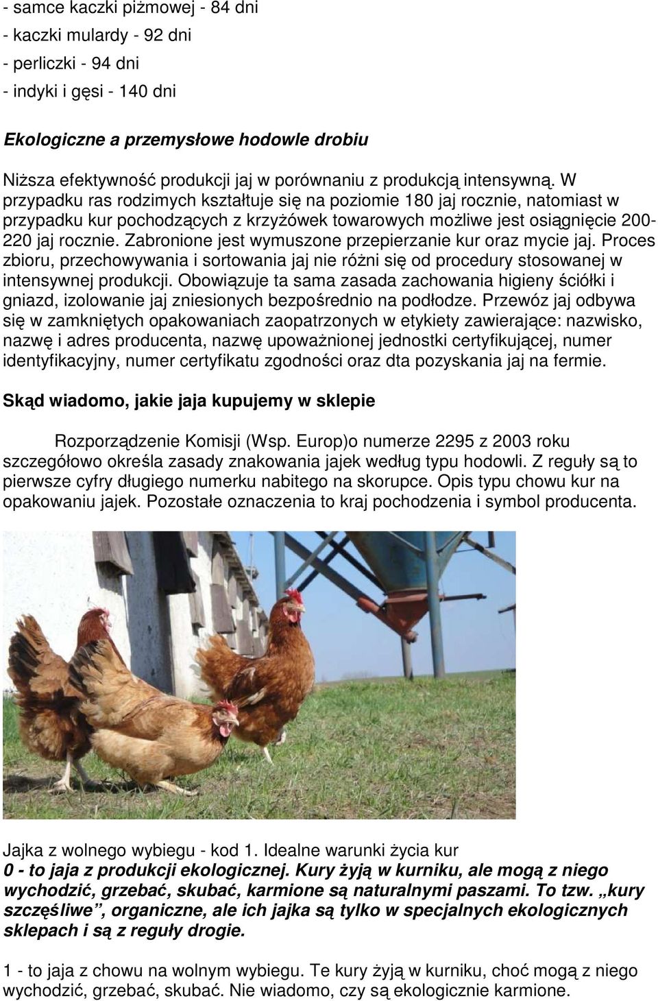 Zabronione jest wymuszone przepierzanie kur oraz mycie jaj. Proces zbioru, przechowywania i sortowania jaj nie różni się od procedury stosowanej w intensywnej produkcji.