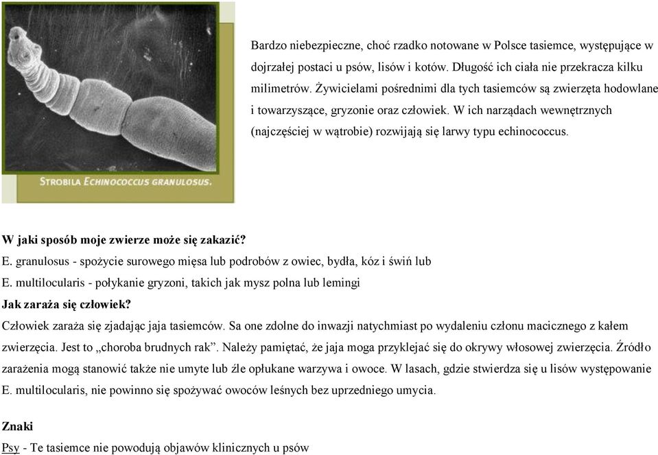W jaki sposób moje zwierze może się zakazić? E. granulosus - spożycie surowego mięsa lub podrobów z owiec, bydła, kóz i świń lub E.