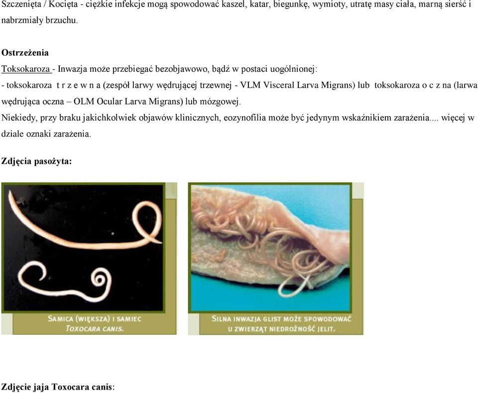 trzewnej - VLM Visceral Larva Migrans) lub toksokaroza o c z na (larwa wędrująca oczna OLM Ocular Larva Migrans) lub mózgowej.