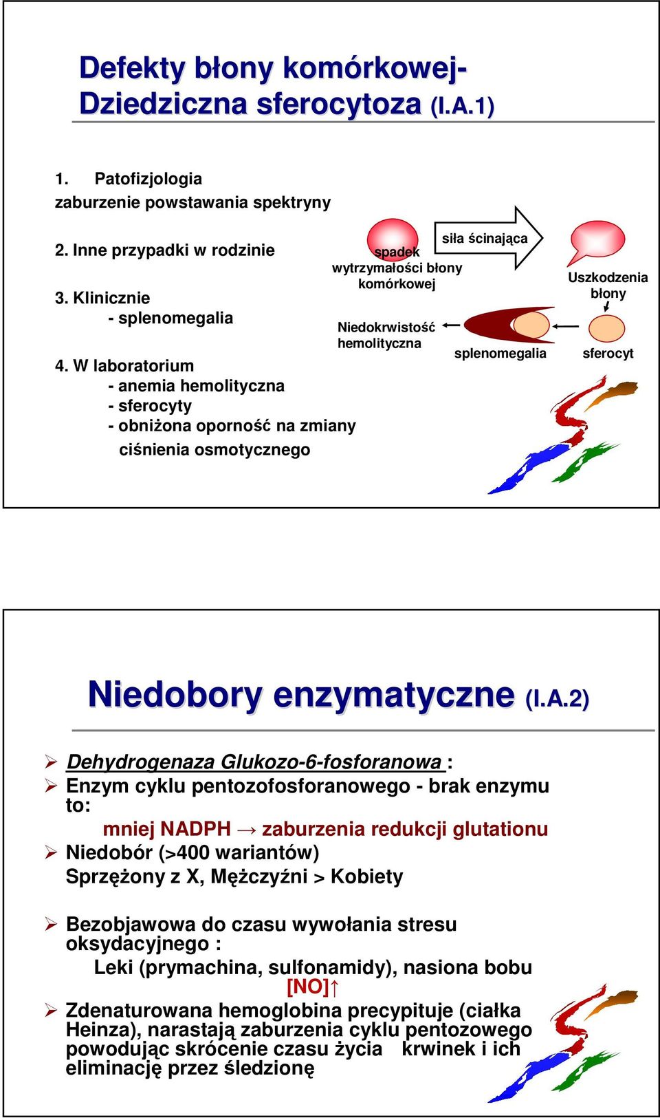 Uszkodzenia błony sferocyt Niedobory enzymatyczne (I.A.