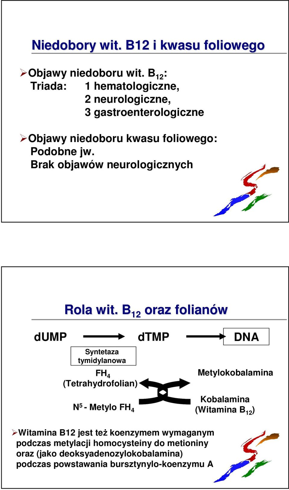 Brak objawów neurologicznych Rola wit.